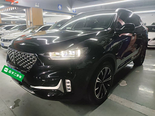 wey vv6