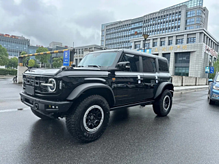 ford other