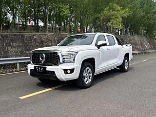 great-wall other