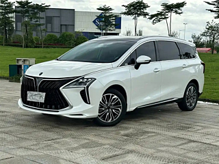 dongfeng other