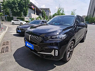 wey vv6