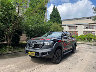 dongfeng other