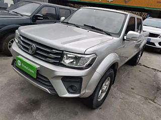 dongfeng other