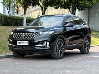 wey vv6