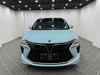 dongfeng other