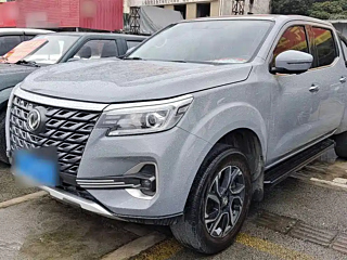 dongfeng other