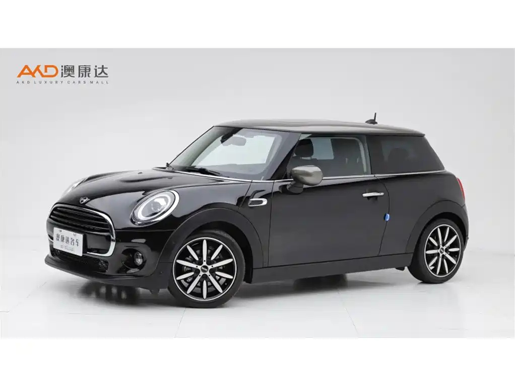 MINI OTHER