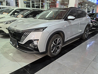 dongfeng other