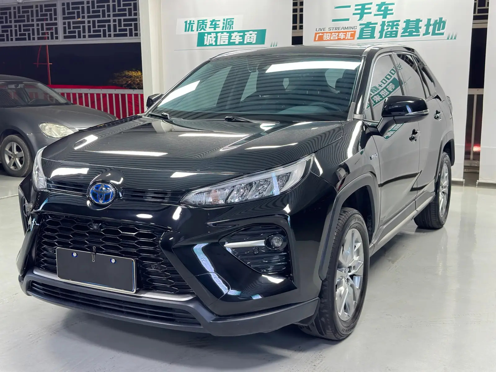 TOYOTA WILDLANDER