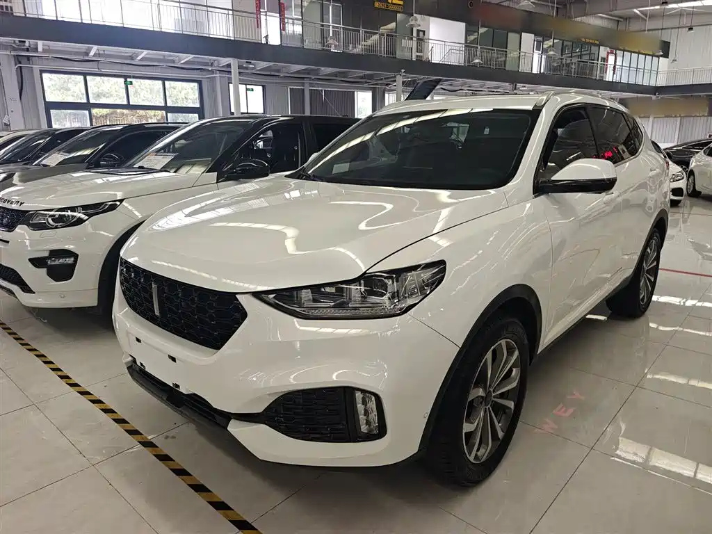 WEY VV6