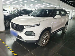 bao-jun 510