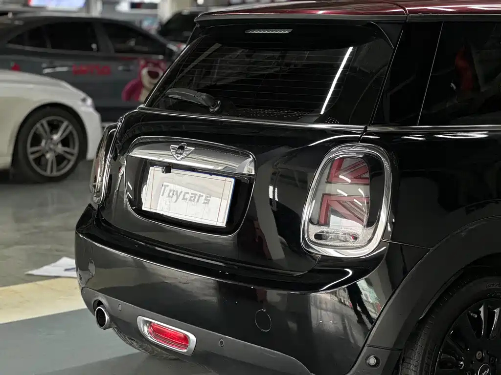 MINI OTHER 2016