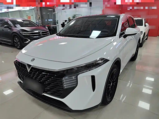 VENUCIA BIG V  2021