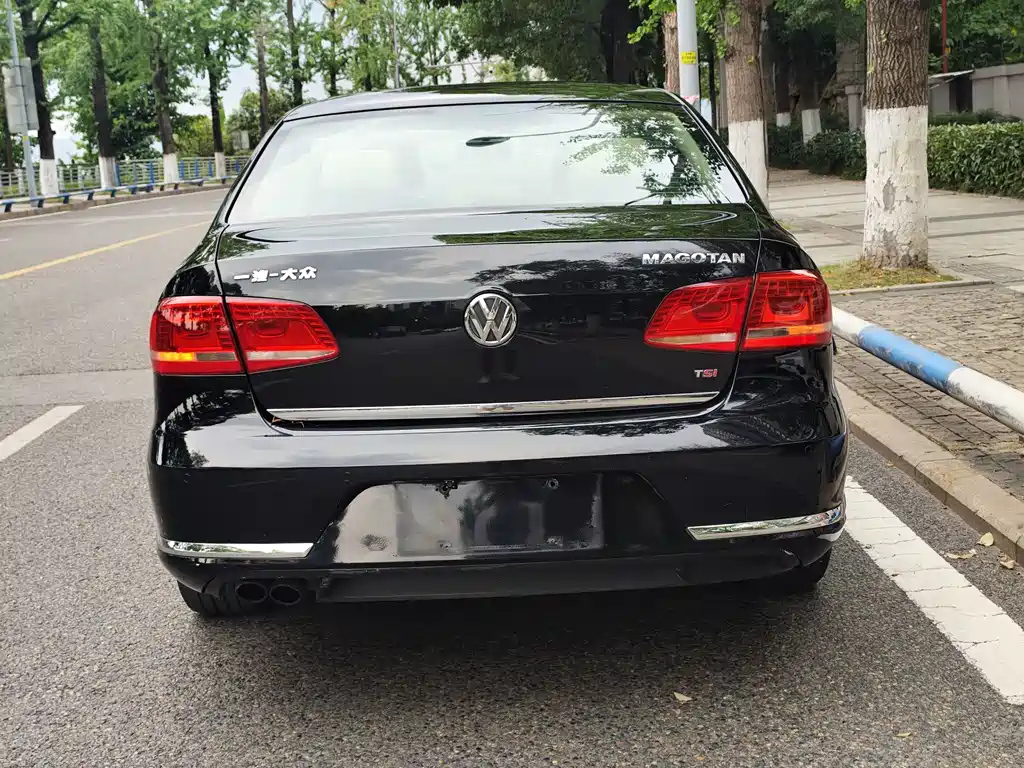 VOLKSWAGEN MAGOTAN 2013