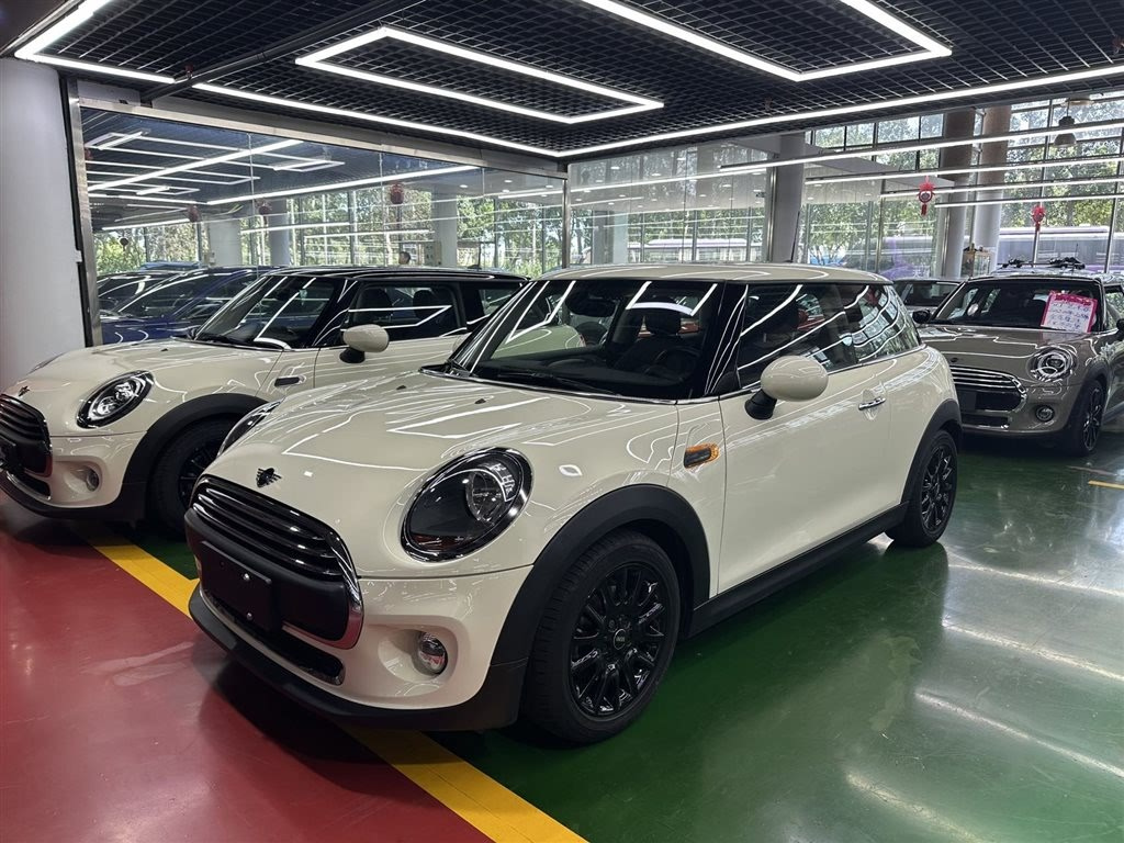 MINI OTHER 2019