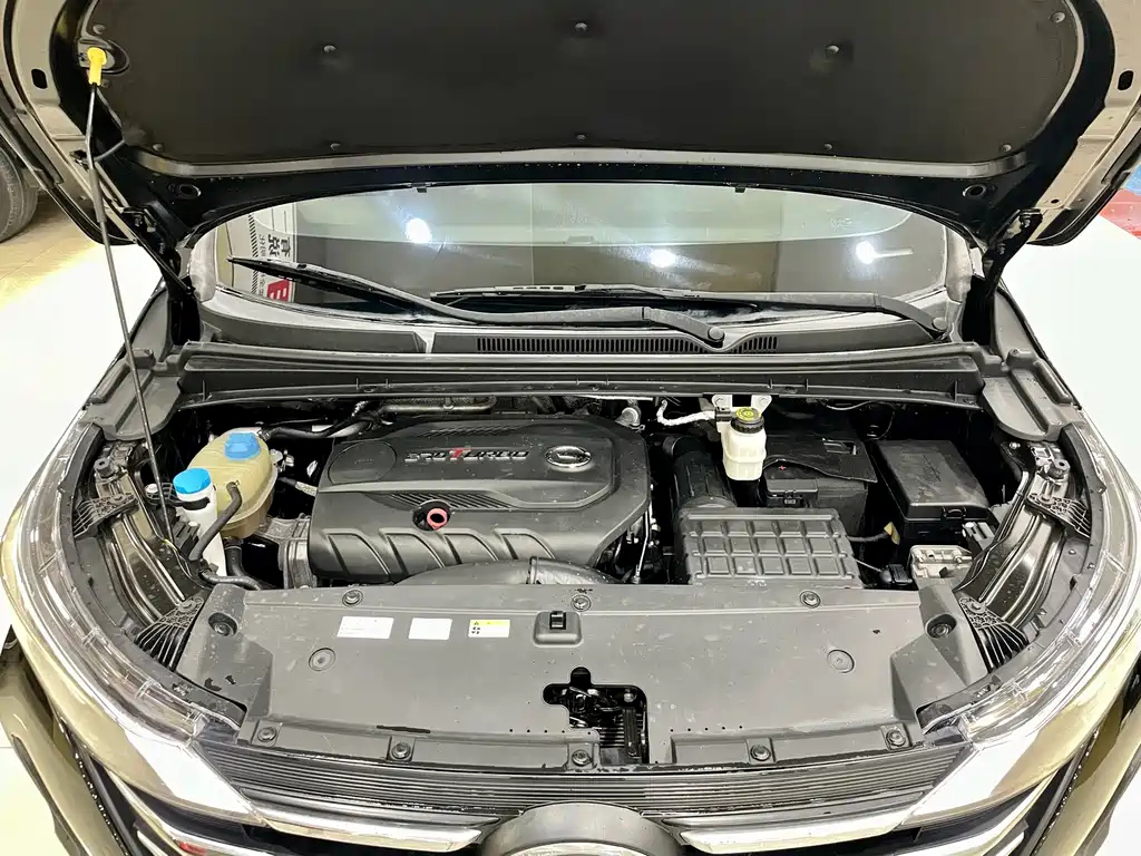 TRUMPCHI M6 2021