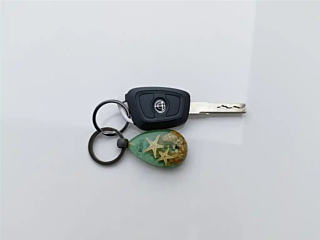 catalog-car-19