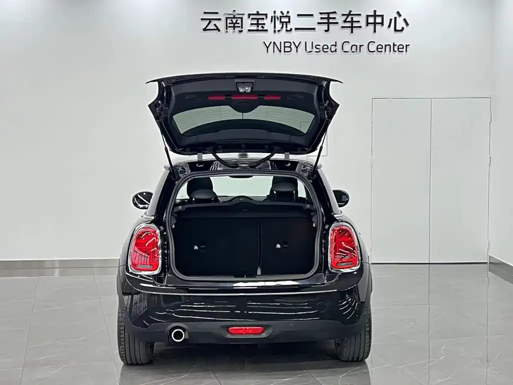 MINI OTHER 2021