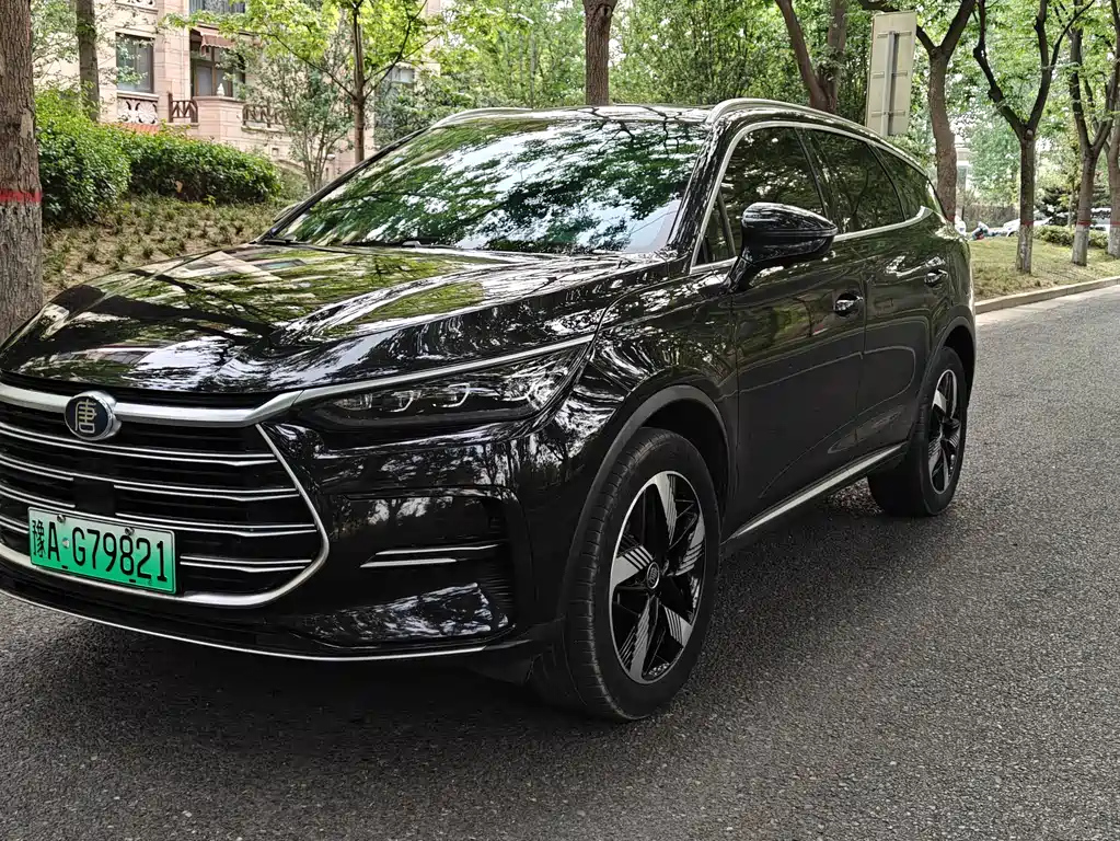 BYD TANG NEW ENERGY
