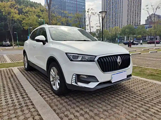 Заказать BORGWARD BX5