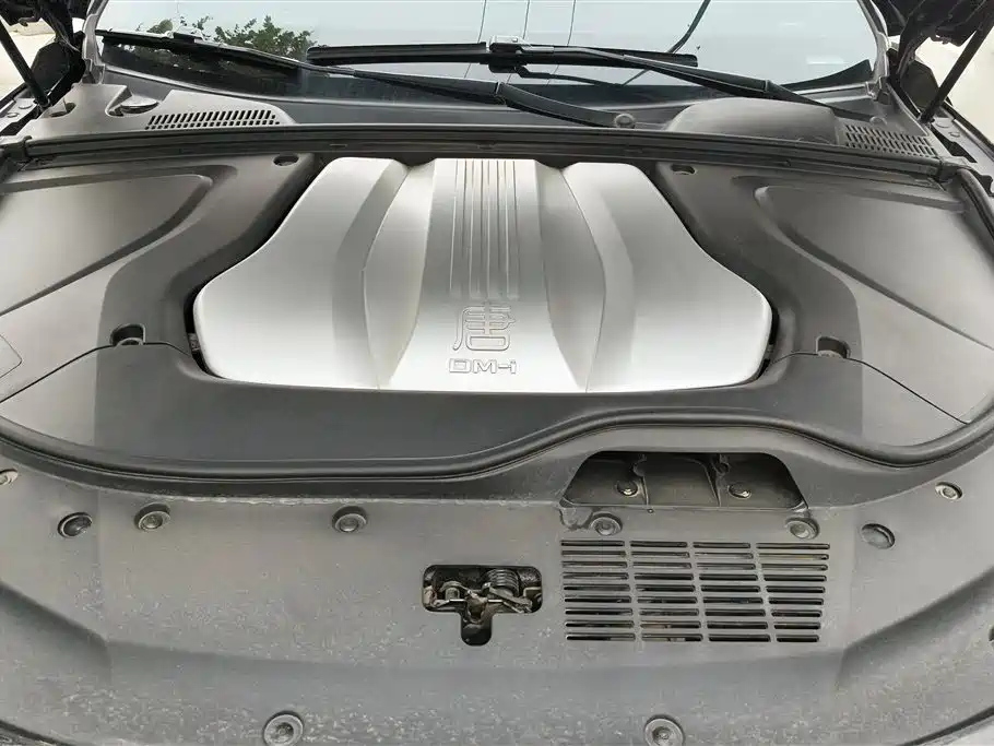 BYD TANG NEW ENERGY 2021