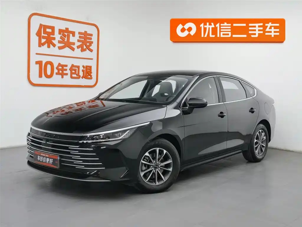 BYD DESTROYER 05 2024