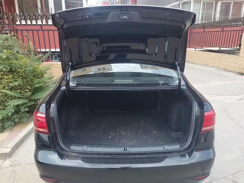 VOLKSWAGEN LAVIDA 2019