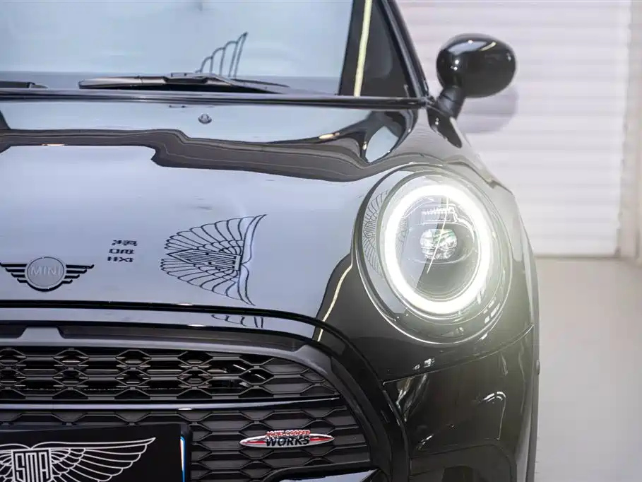 MINI OTHER 2022
