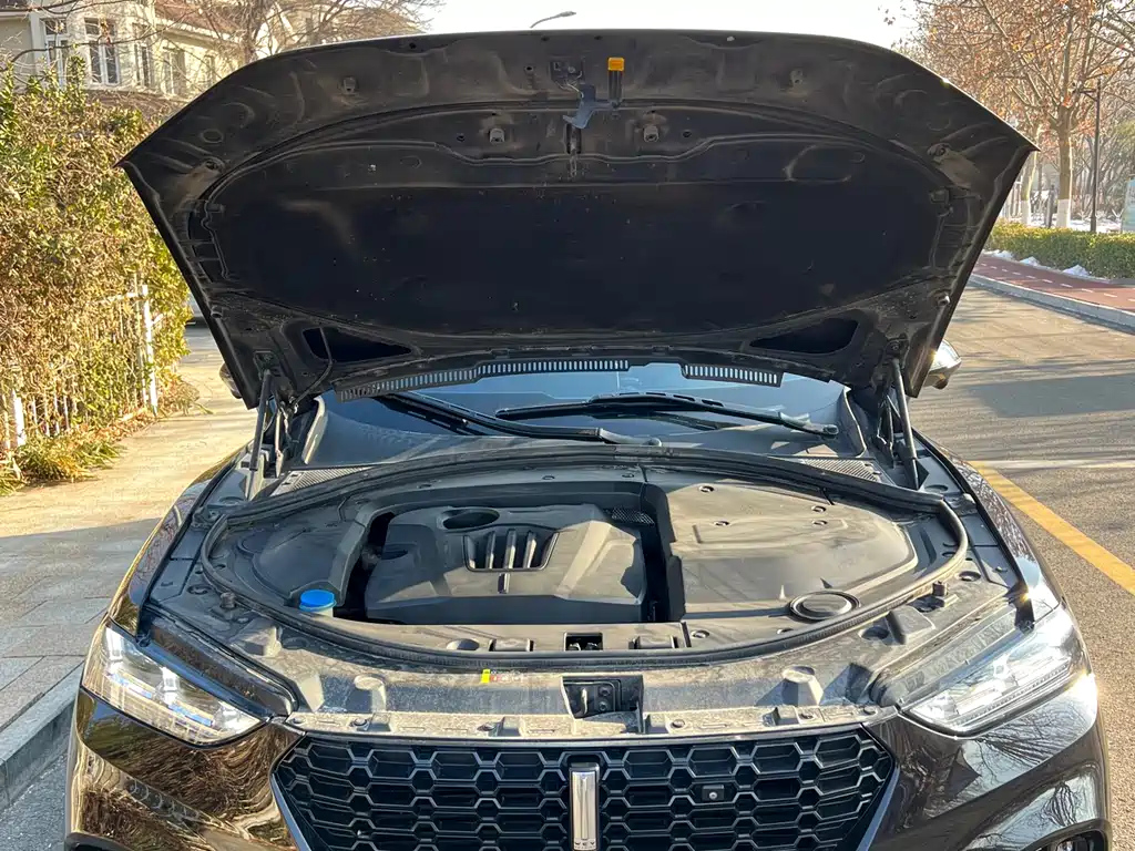 WEY VV7 2019