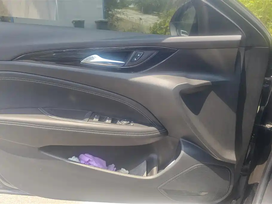 BUICK REGAL 2024