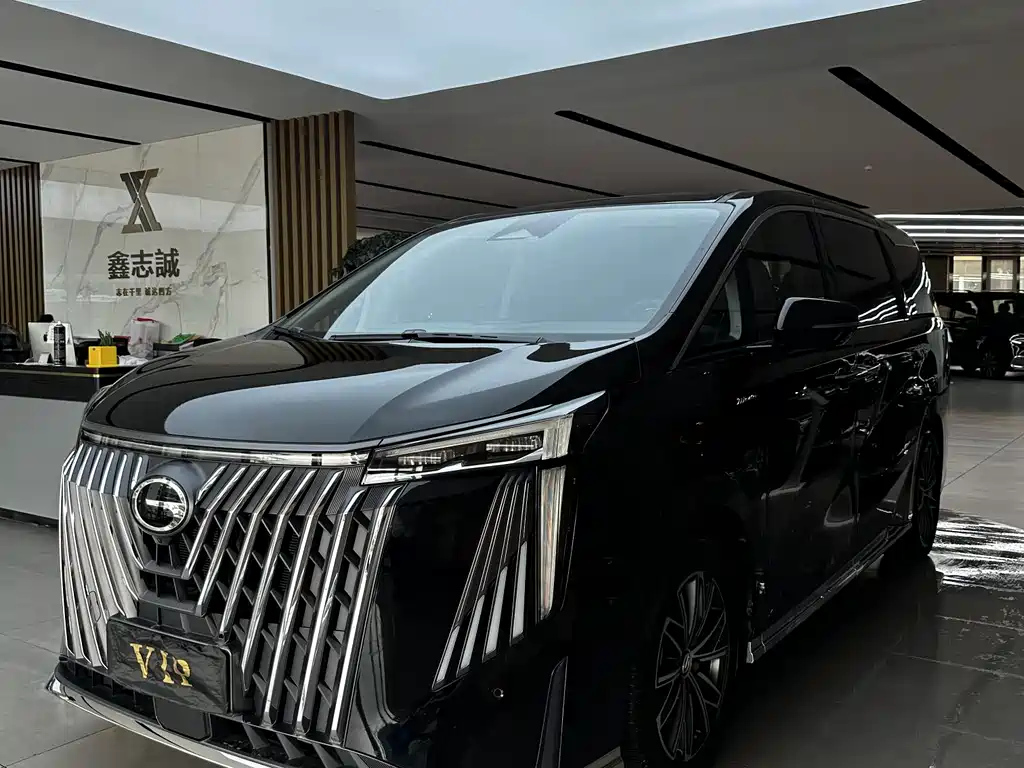 Аукционный лист TRUMPCHI M8 2024