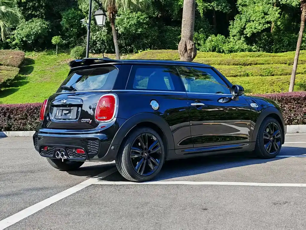 MINI OTHER 2017
