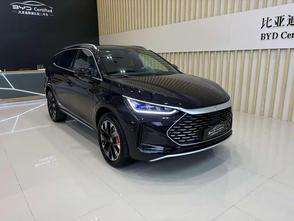 BYD TANG NEW ENERGY 2024