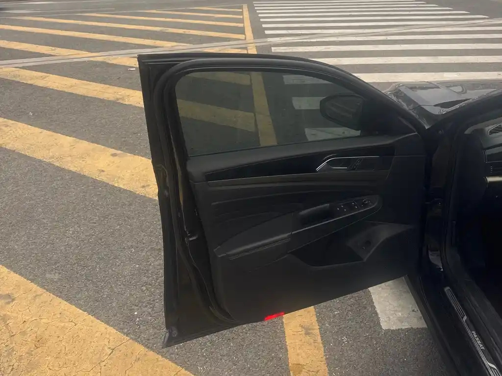 VOLKSWAGEN PASSAT 2019