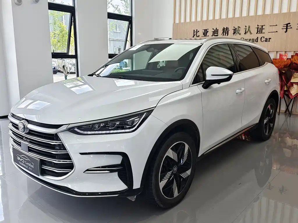 BYD TANG NEW ENERGY