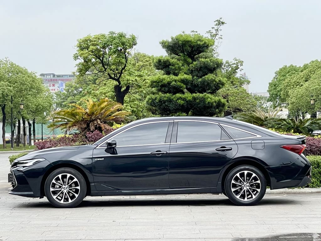 TOYOTA AVALON 2023