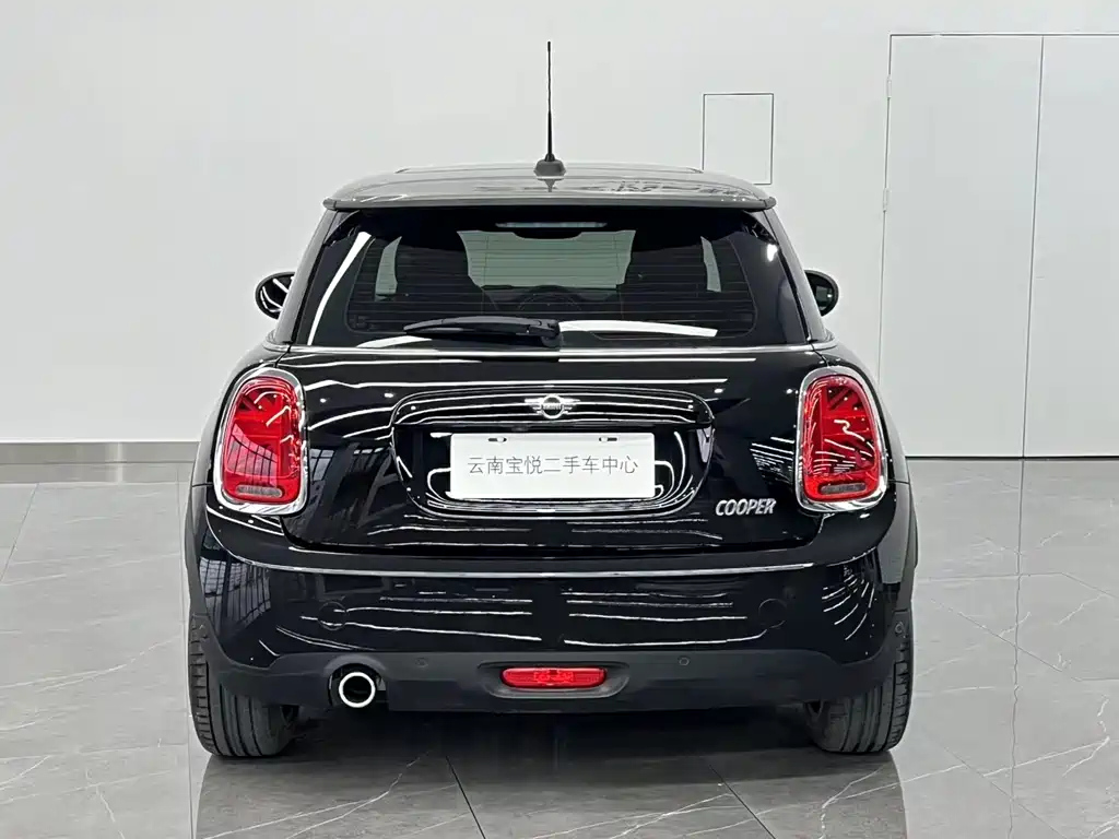 MINI OTHER 2021