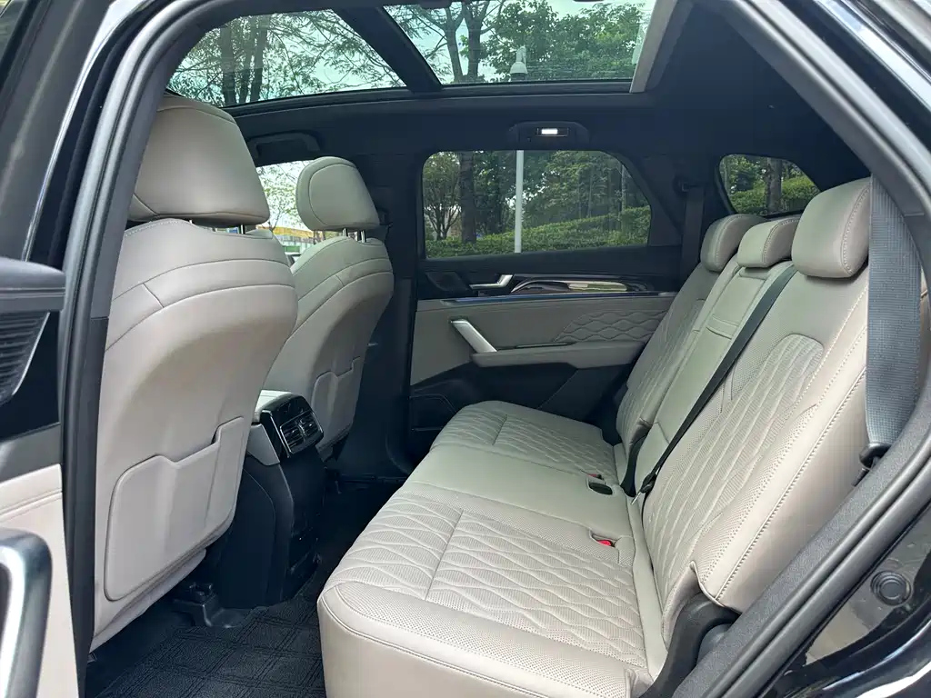 BYD TANG NEW ENERGY 2024