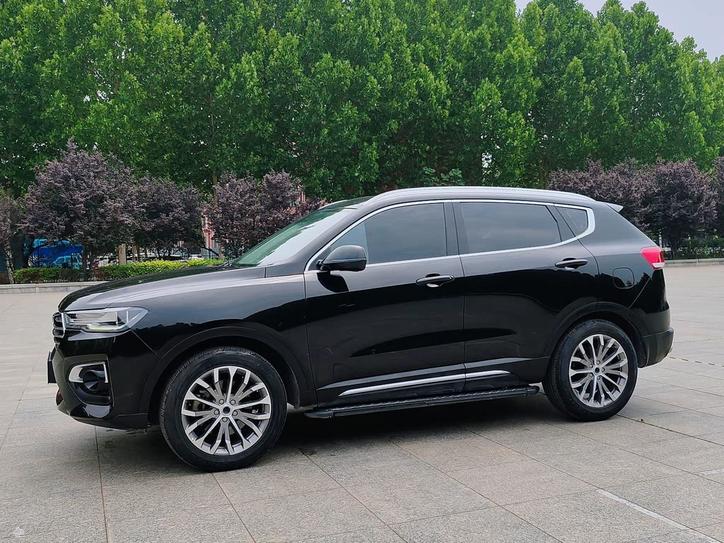 HAVAL H6 2019