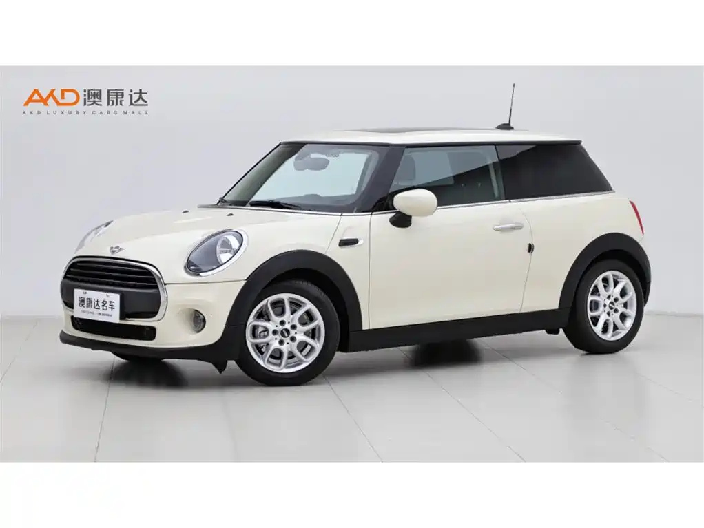 MINI OTHER 2021