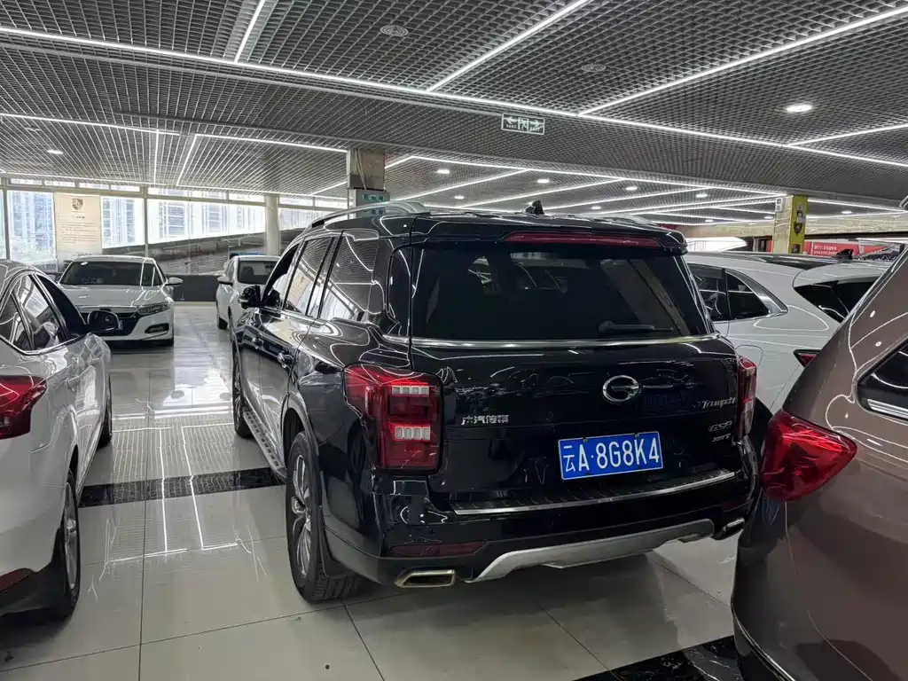 TRUMPCHI GS8 2019