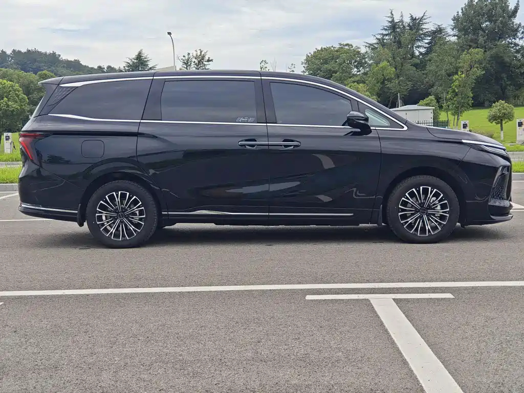 DONGFENG OTHER 2024