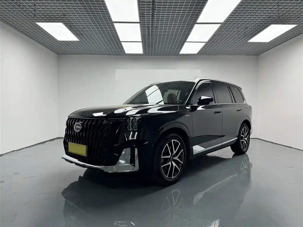 Аукционный лист TRUMPCHI ES9 2024