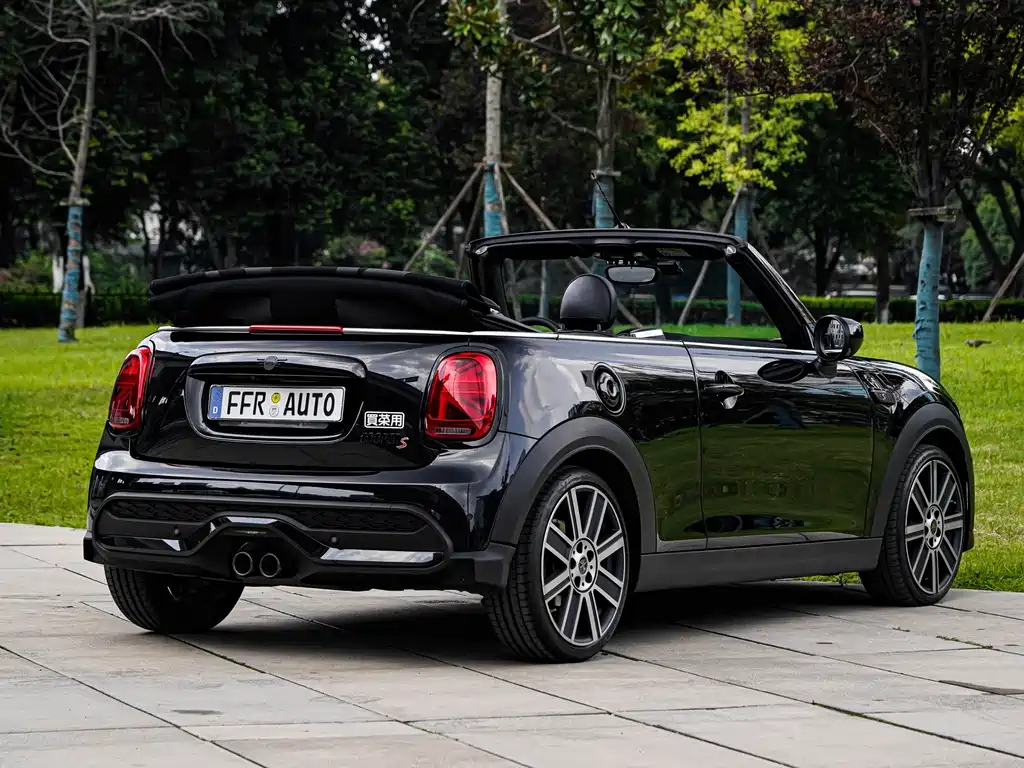 MINI OTHER 2023