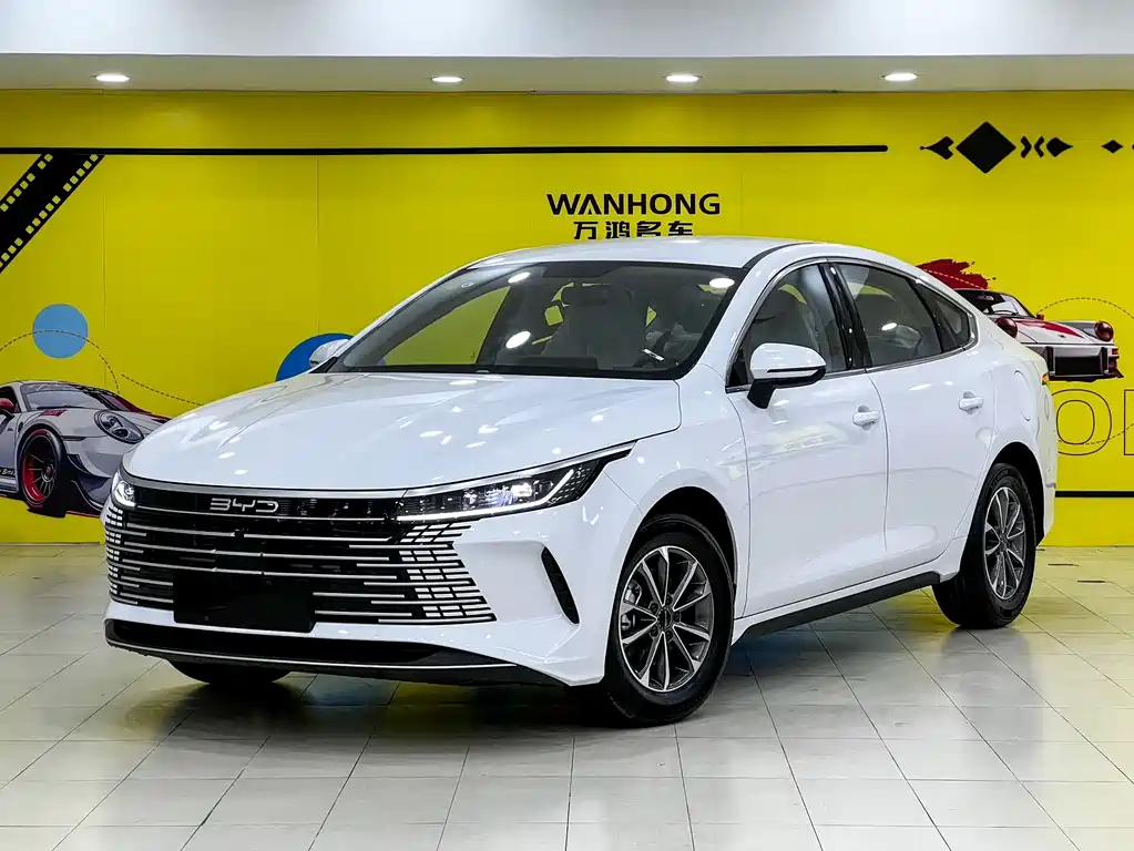 BYD DESTROYER 05 2024