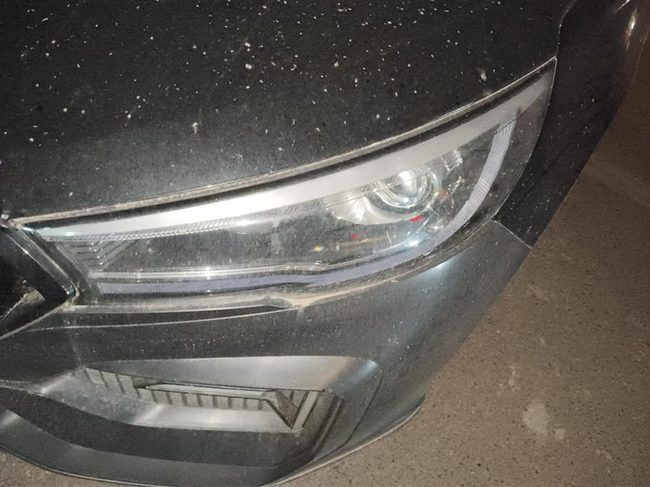 HONGQI H5 2019