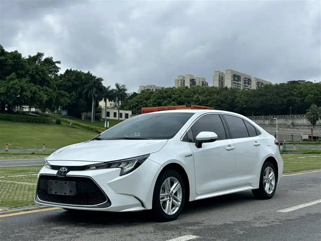 TOYOTA RALINK 2022