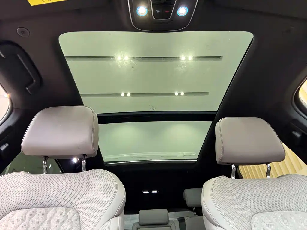 BYD TANG NEW ENERGY 2024