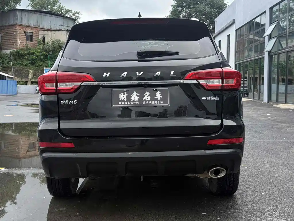 HAVAL M6 2019