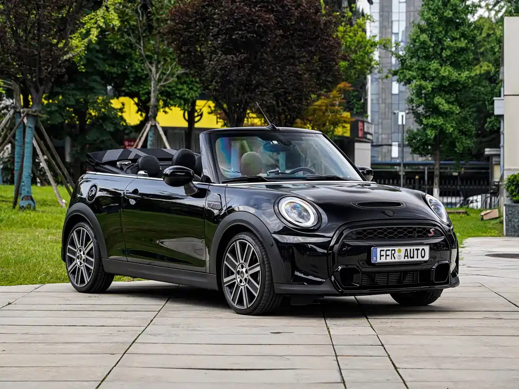 MINI OTHER 2023